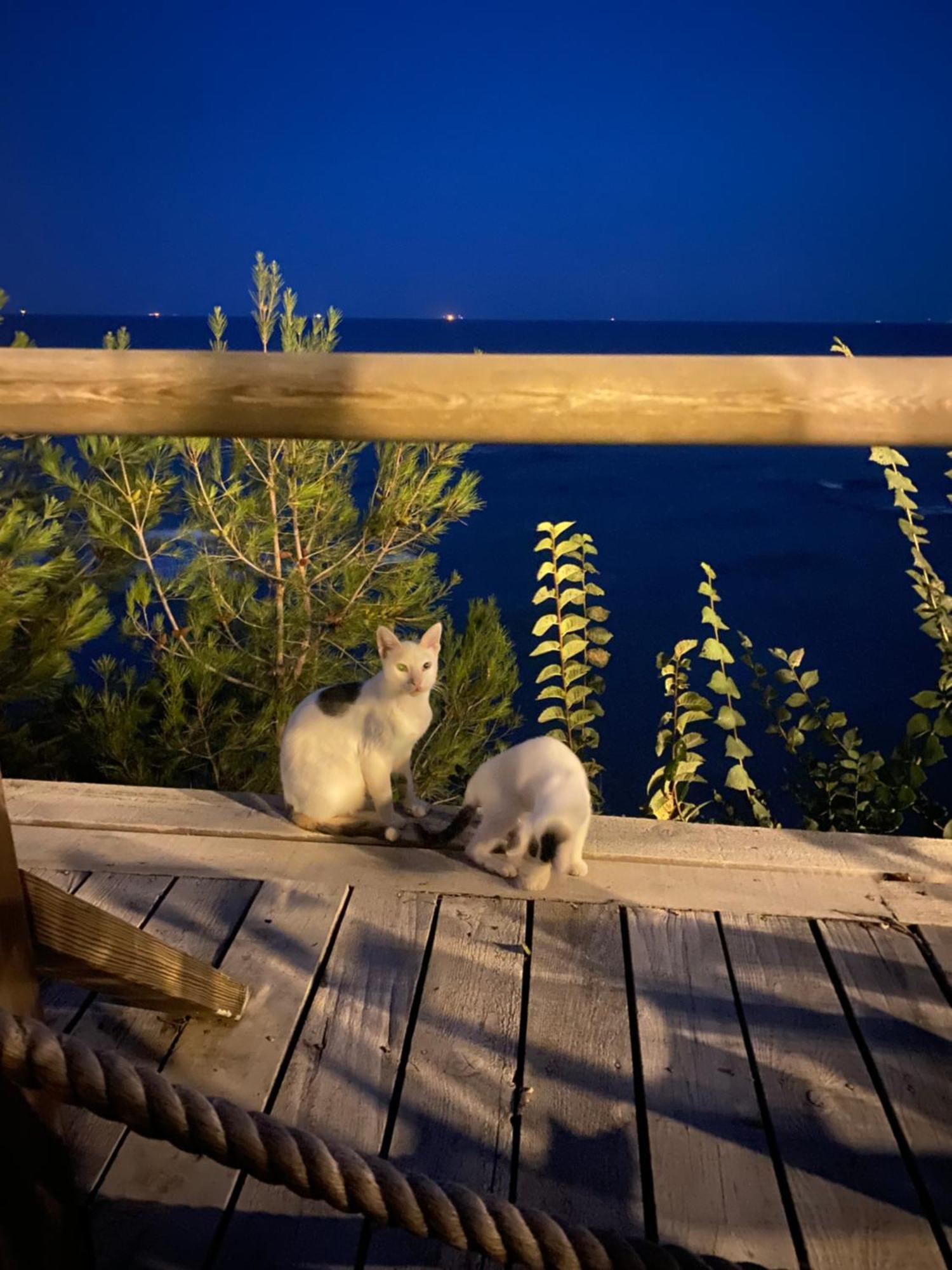 Pia Mare Otel Gunduzlu ภายนอก รูปภาพ